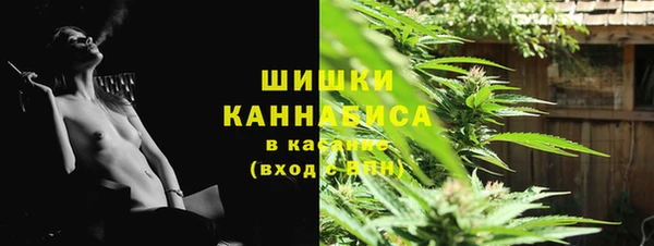 винт Надым